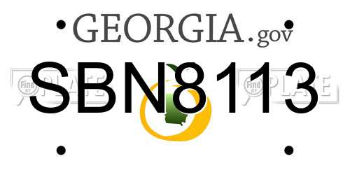 SBN8113 Georgia License Plate