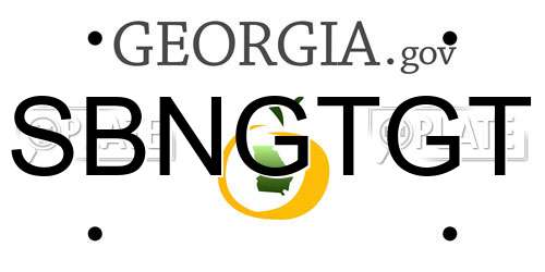 SBNGTGT Georgia License Plate