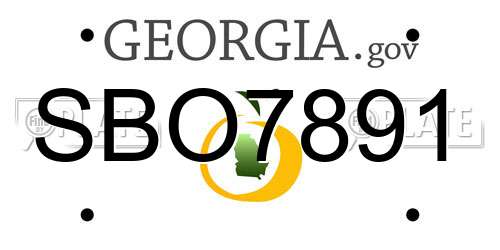 SBO7891 Georgia License Plate