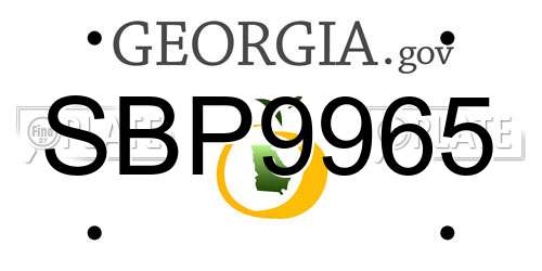 SBP9965 Georgia License Plate