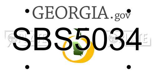 SBS5034 Georgia License Plate
