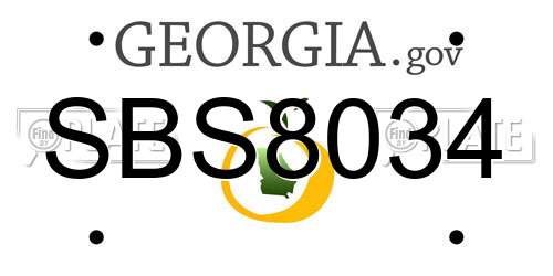 SBS8034 Georgia License Plate