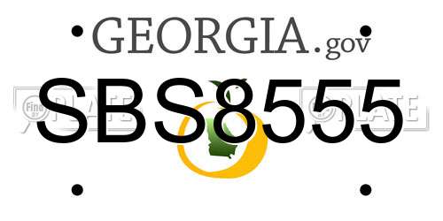 SBS8555 Georgia License Plate