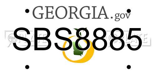 SBS8885 Georgia License Plate
