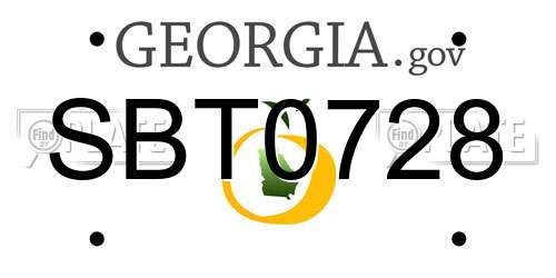 SBT0728 Georgia License Plate
