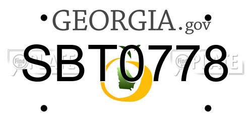 SBT0778 Georgia License Plate