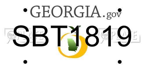 SBT1819 Georgia License Plate