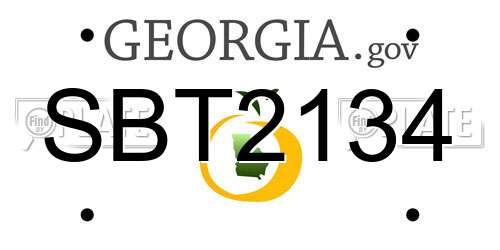 SBT2134 Georgia License Plate