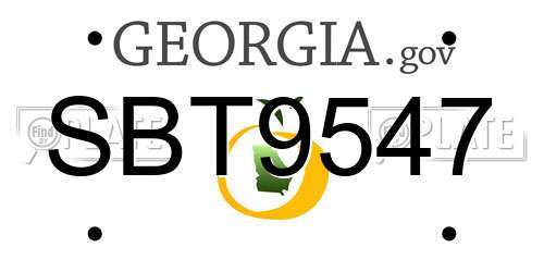 SBT9547 Georgia License Plate