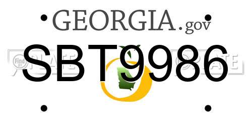 SBT9986 Georgia License Plate