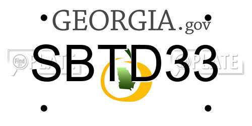SBTD33 Georgia License Plate
