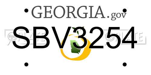 SBV3254 Georgia License Plate