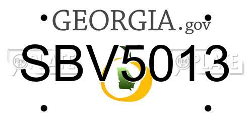 SBV5013 Georgia License Plate