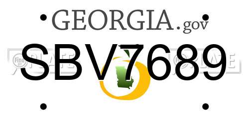 SBV7689 Georgia License Plate