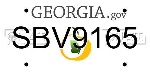 SBV9165 Georgia License Plate