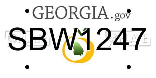 SBW1247 Georgia License Plate
