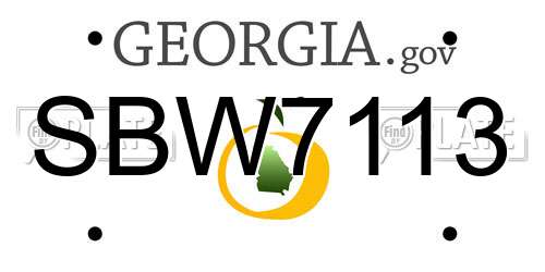 SBW7113 Georgia License Plate