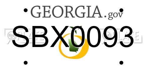 SBX0093 Georgia License Plate