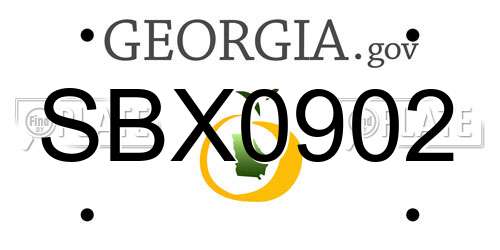 SBX0902 Georgia License Plate