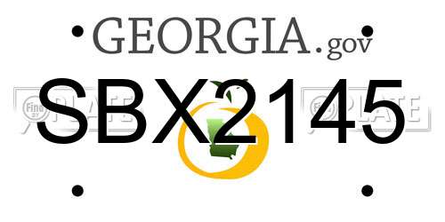 SBX2145 Georgia License Plate