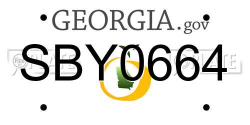 SBY0664 Georgia License Plate