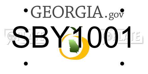 SBY1001 Georgia License Plate