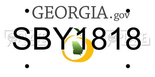 SBY1818 Georgia License Plate