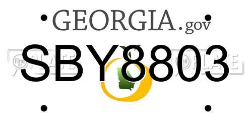 SBY8803 Georgia License Plate