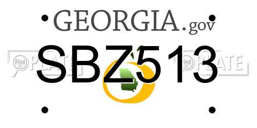 SBZ513 Georgia License Plate