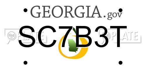 SC7B3T Georgia License Plate