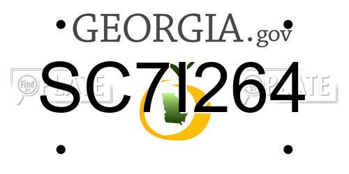 SC7I264 Georgia License Plate