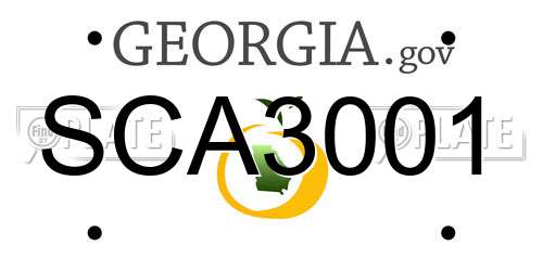 SCA3001 Georgia License Plate