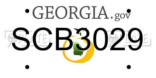 SCB3029 Georgia License Plate