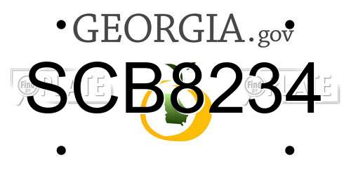 SCB8234 Georgia License Plate