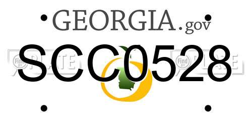 SCC0528 Georgia License Plate