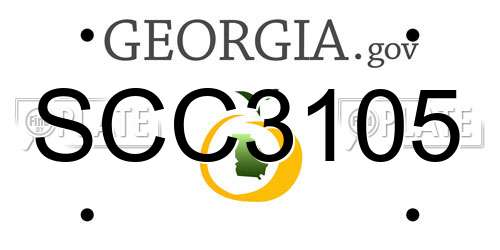 SCC3105 Georgia License Plate