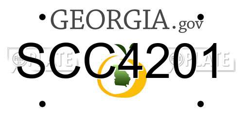 SCC4201 Georgia License Plate