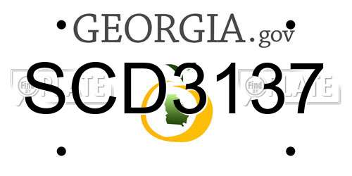 SCD3137 Georgia License Plate