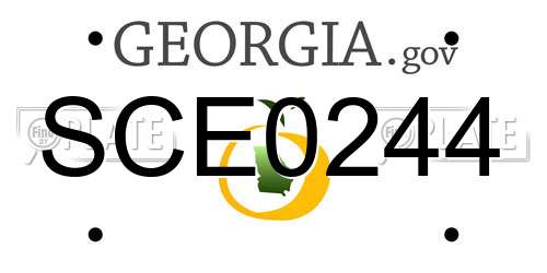 SCE0244 Georgia License Plate