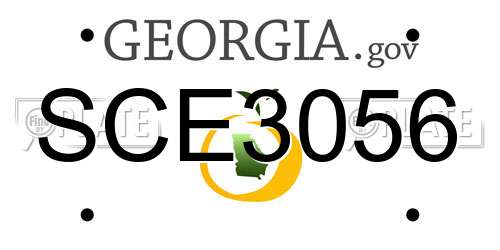SCE3056 Georgia License Plate