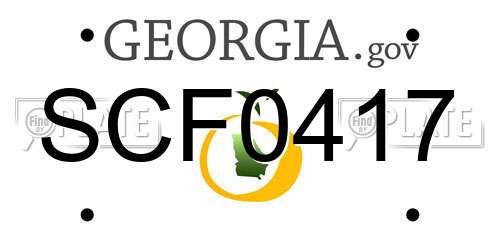 SCF0417 Georgia License Plate