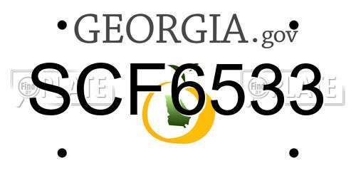 SCF6533 Georgia License Plate