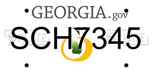 SCH7345 Georgia License Plate
