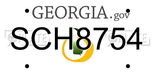 SCH8754 Georgia License Plate