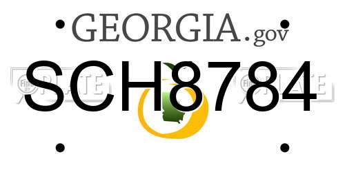 SCH8784 Georgia License Plate