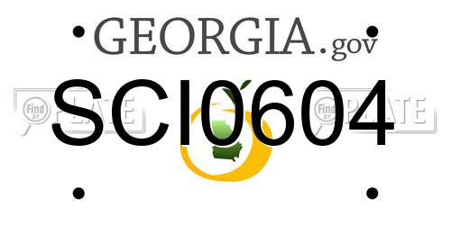 SCI0604 Georgia License Plate