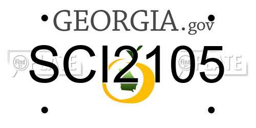 SCI2105 Georgia License Plate