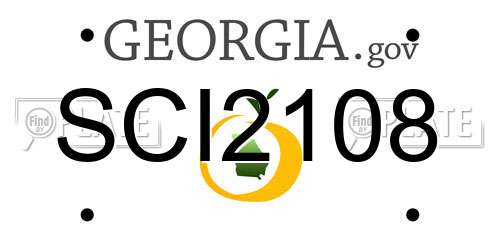 SCI2108 Georgia License Plate