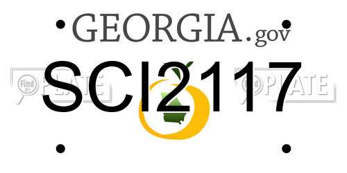 SCI2117 Georgia License Plate
