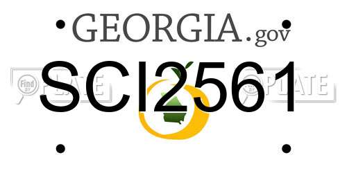 SCI2561 Georgia License Plate